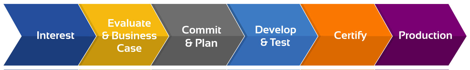 LSO Adoption Lifecycle