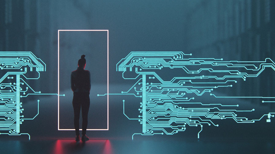 Portals for Enterprise Visibility into All Parts of the Carrier Ethernet Service